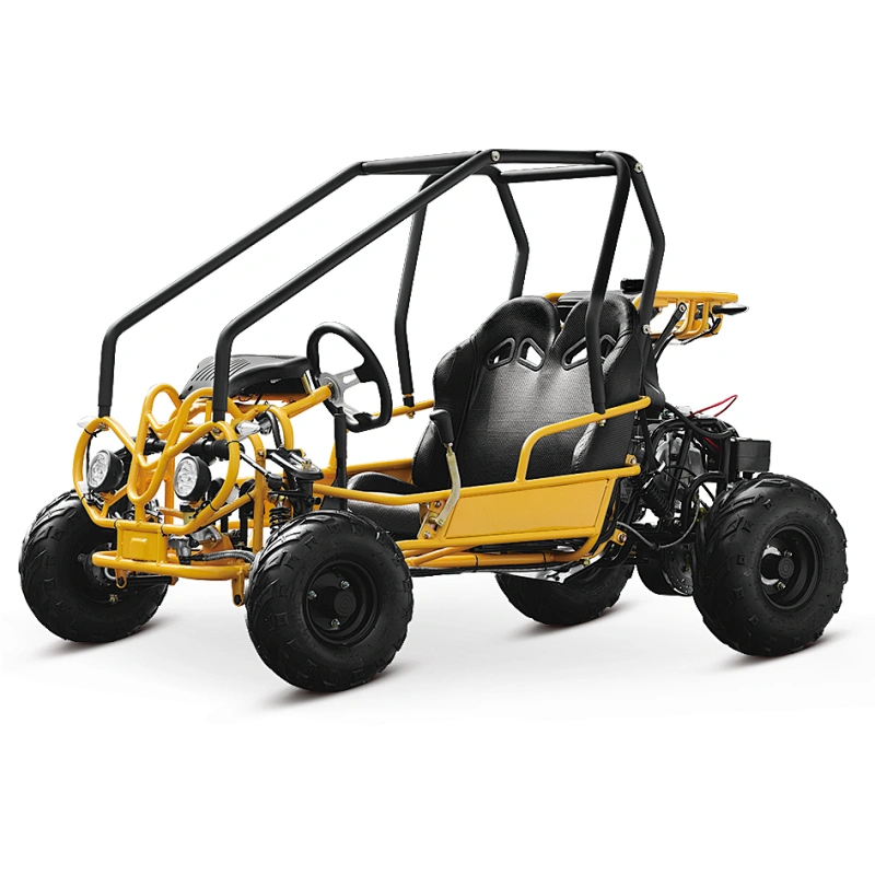 Hot sale CE certificate chain drive adult professional 2 seat gas powered go kart