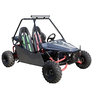 Buggy sand beach go kart adult 200cc