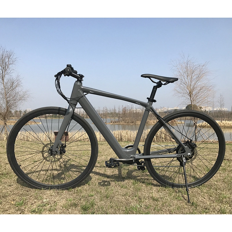 700c Big Tire Road Electric Bicycle