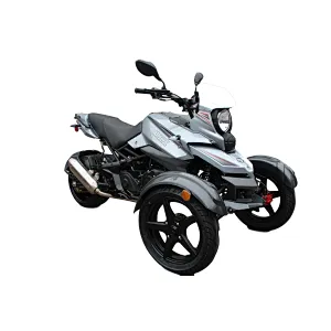 NewThree wheel motorcycle 200cc