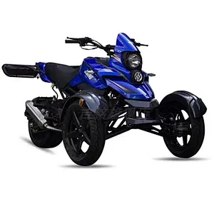 200cc adult gas sport tricycle motorcycle 3 wheel atv