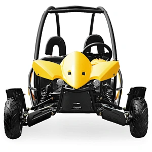 Hot sale new 4 wheeler 110cc gas electric 2 seat farm dune buggy for sale