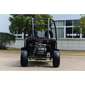 125CC 110CC Duggy  GO KART