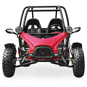 200CC sand buggy off road go kart adult off road dune buggy two seat chain drive
