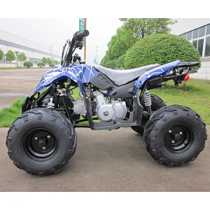 Mini Kids Quad mini Kids 90CC 110CC ATV with CE