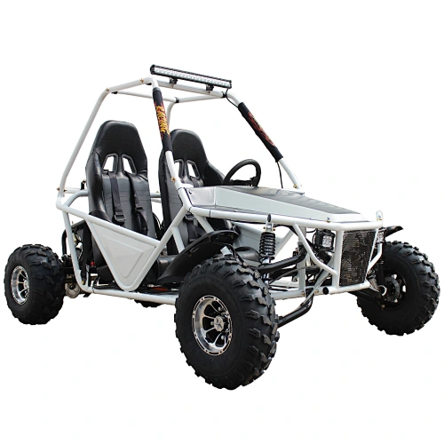 High power beach car gas double seat adults go kart 200 cc
