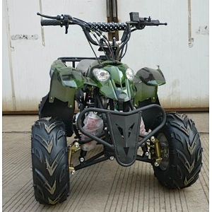 110cc ATV 125cc Quad