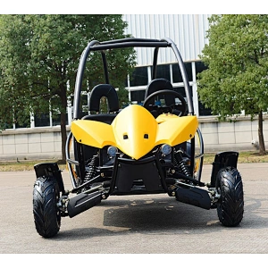 125CC 110CC Duggy  GO KART