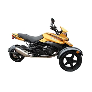 200CC cross pocket trike motorcycle (JL 175ZK)