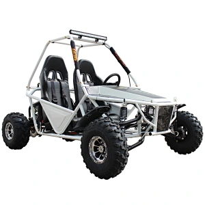 New arrive gas 2 seats adult sandbeach 200cc go kart buggy