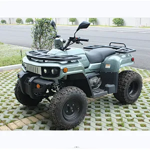 300cc Atv Quad Adult Popular Diesel Power SOHC Engine Automatic single cylinder 4 stroke water cooling
