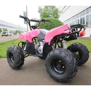 Kandi CE Certification 110CC 4 Wheeler Quad ATV for Kids