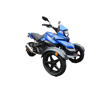 200cc adult gas sport tricycle motorcycle 3 wheel ATV