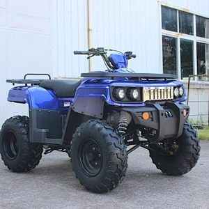 300cc UTILITY ATV QUAD BIKE 300