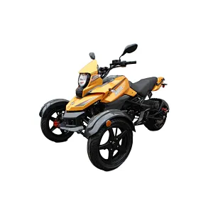 200cc reverse  trcycle 4 stroke trike adult 3 wheel motorcycle