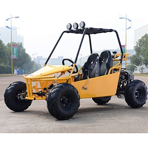 CE Kid Racing 125cc 110cc Go Kart Kandi Dune Buggy