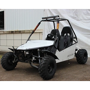 Top Sale Guaranteed Quality hot selling customized centrifugal sandbeach go kart adult 200cc buggy