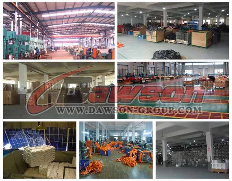 Factory about DSCB25111 B/S 1135KG/2500LBS Cam Buckle - Dawson Group Ltd. - China Manufacturer Supplier, Factory