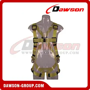 DS5137 Safety Harness EN361