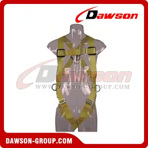 DS5110 Safety Harness EN361