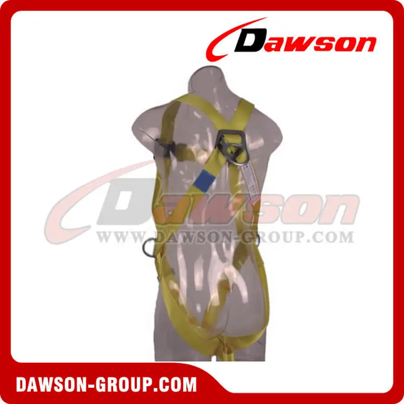 DS5110 Safety Harness EN361