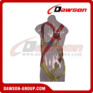 DS5101 Safety Harness EN361