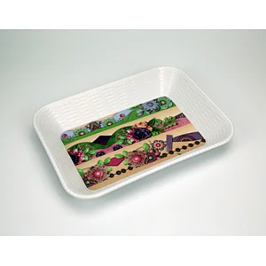 Custom print plastic melamine snack serving tray