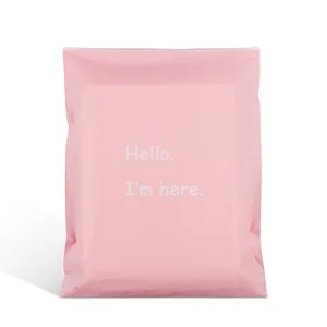 high quality custom printed logo matt pink luxury zipper lock ldpe cpe plastic packing bag for garment