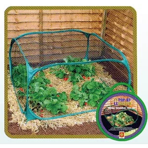GREEN HOUSE