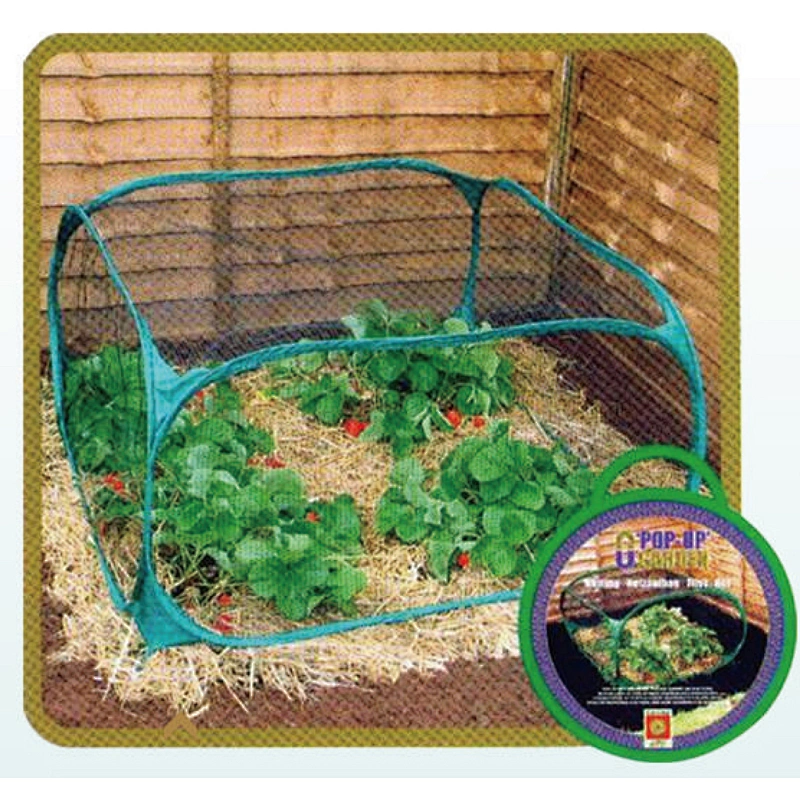 GREEN HOUSE
