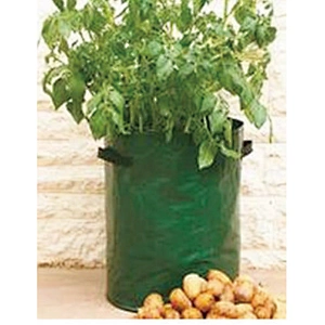 Plant Bag