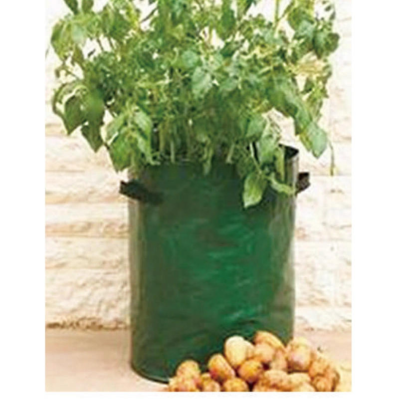 Plant Bag