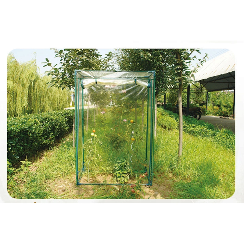 MINI TOMATO GREEN HOUSE