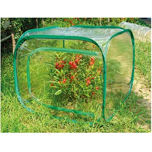 GREEN HOUSE