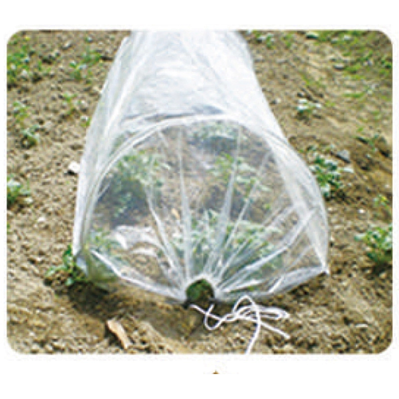 GREEN HOUSE