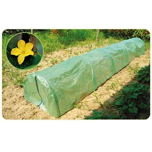 Cold frame