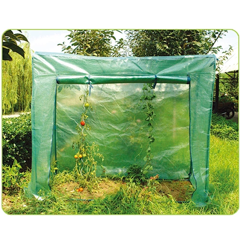 GREEN HOUSE