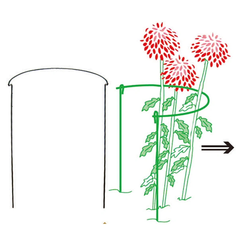 PLANT SUPPORT