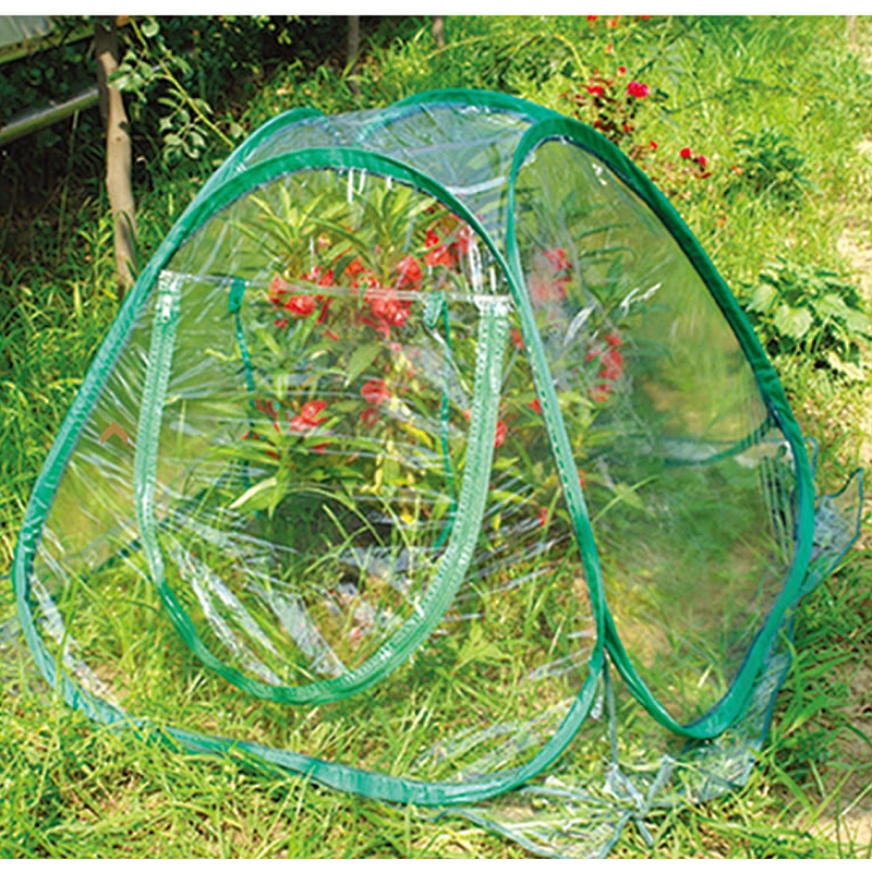 GREEN HOUSE