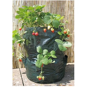 Plant Bag