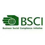 BSCI Audit report