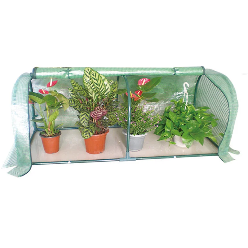 GREEN HOUSE
