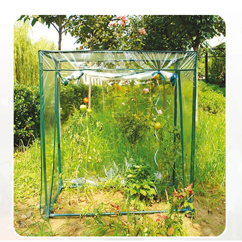 MINI TOMATO GREEN HOUSE