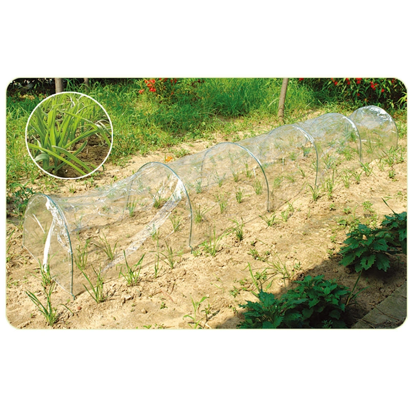 GREEN HOUSE