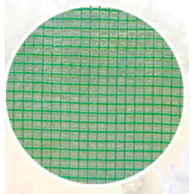 2 Layers Green house