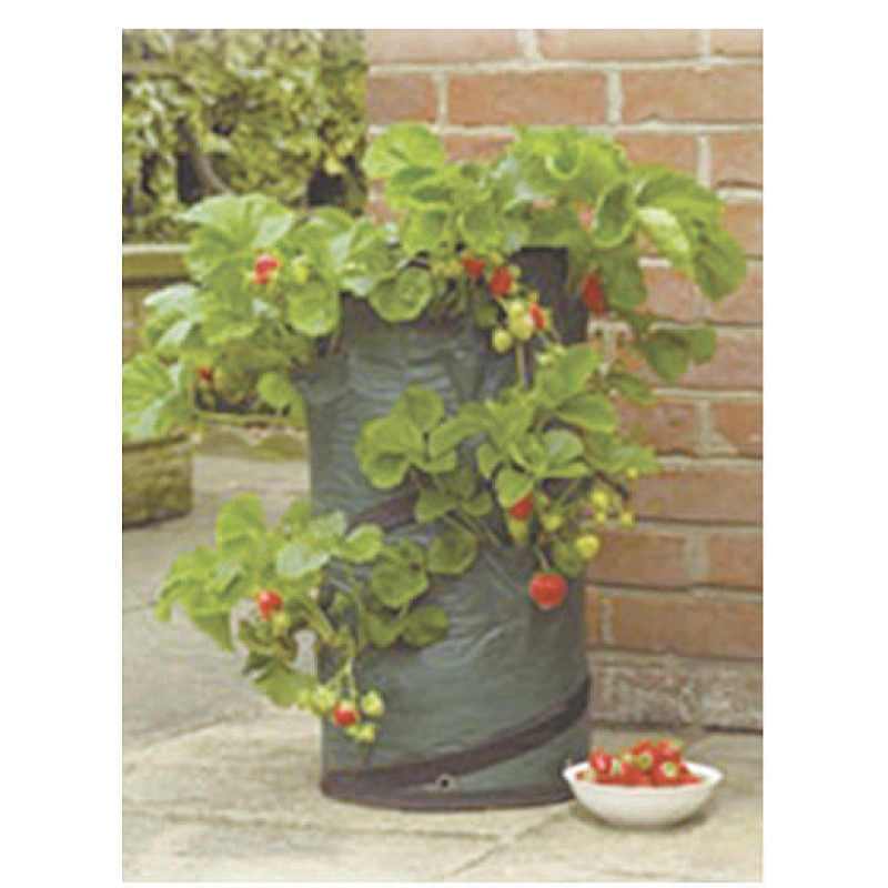 Plant Bag