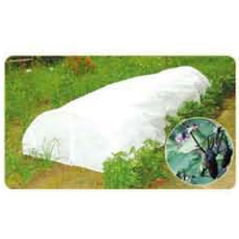 Cold frame