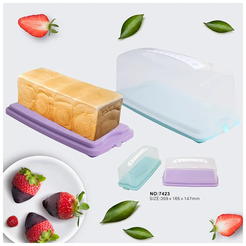 Rectangular Cake Carrier Cover Container with Translucent Dome and Holder