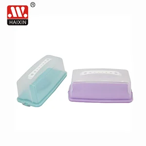 Rectangular Cake Carrier Cover Container with Translucent Dome and Holder
