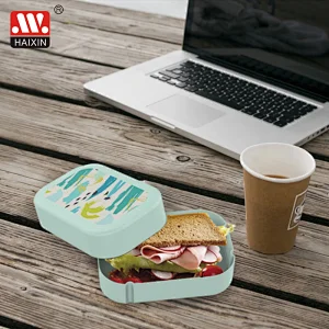 Plastic turn-around food container with printing and band for picnic 800ML